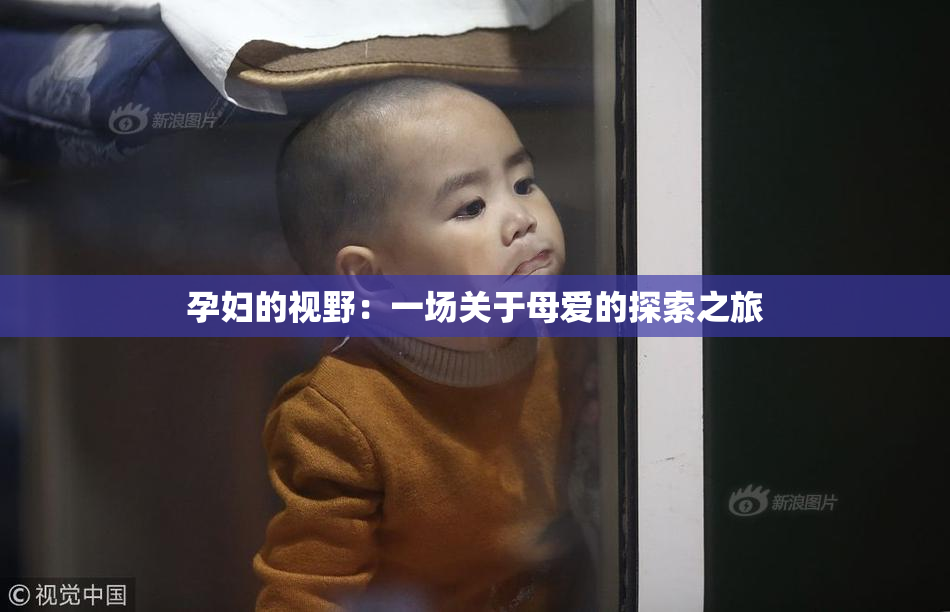 孕妇的视野：一场关于母爱的探索之旅