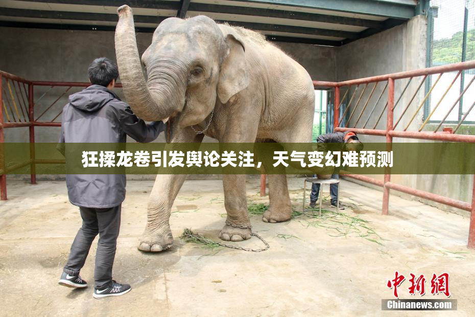 狂揉龙卷引发舆论关注，天气变幻难预测