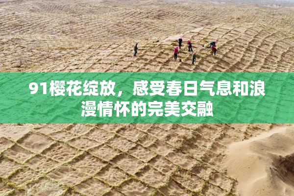 91樱花绽放，感受春日气息和浪漫情怀的完美交融