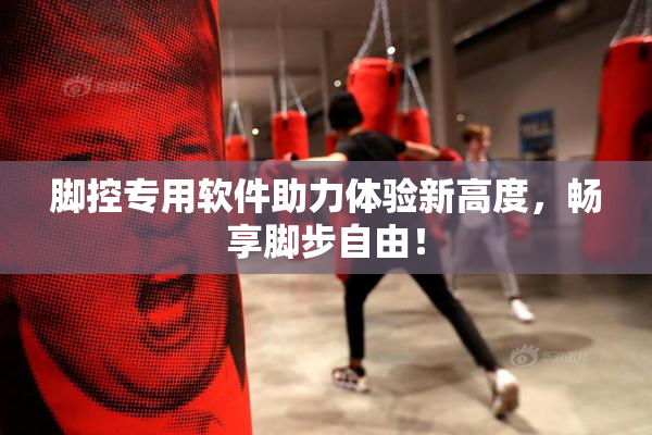 脚控专用软件助力体验新高度，畅享脚步自由！