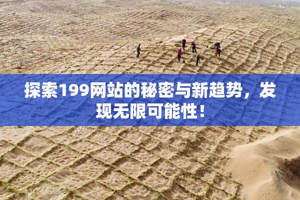 探索199网站的秘密与新趋势，发现无限可能性！