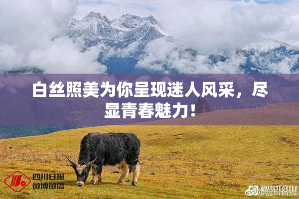 白丝照美为你呈现迷人风采，尽显青春魅力！