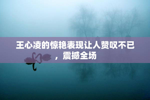 王心凌的惊艳表现让人赞叹不已，震撼全场