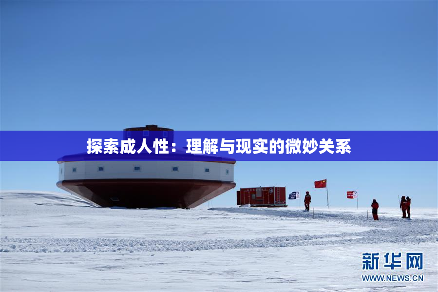 探索成人性：理解与现实的微妙关系