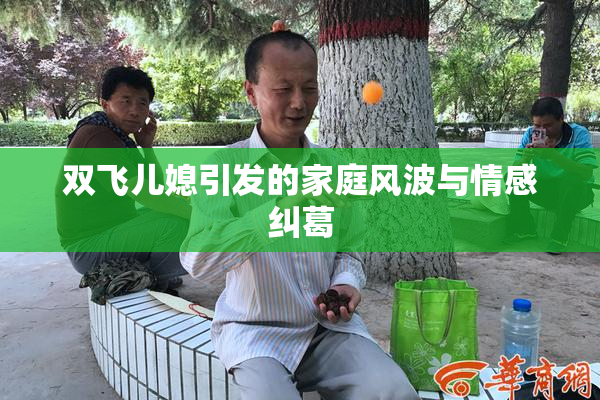 双飞儿媳引发的家庭风波与情感纠葛