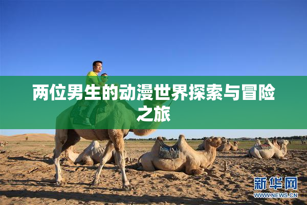 两位男生的动漫世界探索与冒险之旅