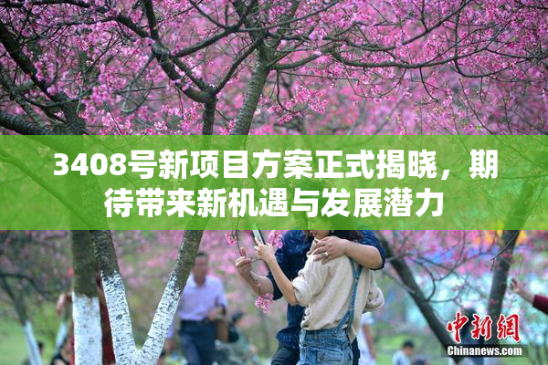 3408号新项目方案正式揭晓，期待带来新机遇与发展潜力