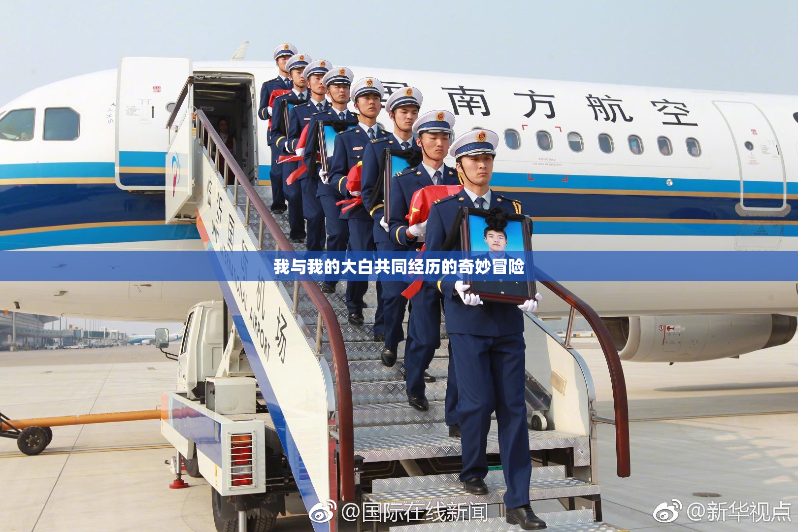 我与我的大白共同经历的奇妙冒险