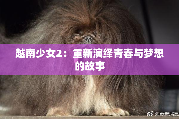越南少女2：重新演绎青春与梦想的故事
