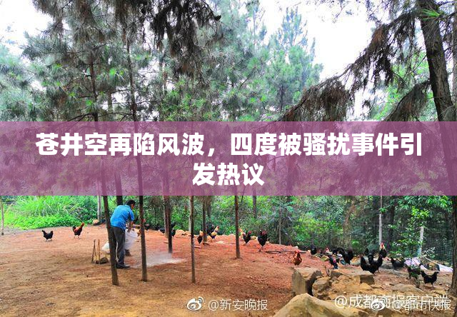 苍井空再陷风波，四度被骚扰事件引发热议
