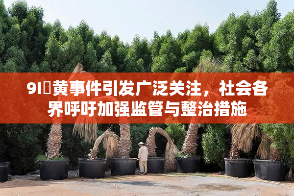 9I婬黄事件引发广泛关注，社会各界呼吁加强监管与整治措施