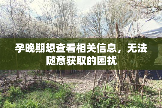 孕晚期想查看相关信息，无法随意获取的困扰