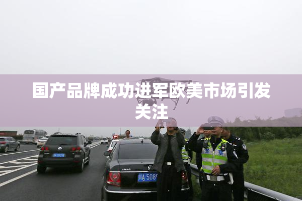国产品牌成功进军欧美市场引发关注