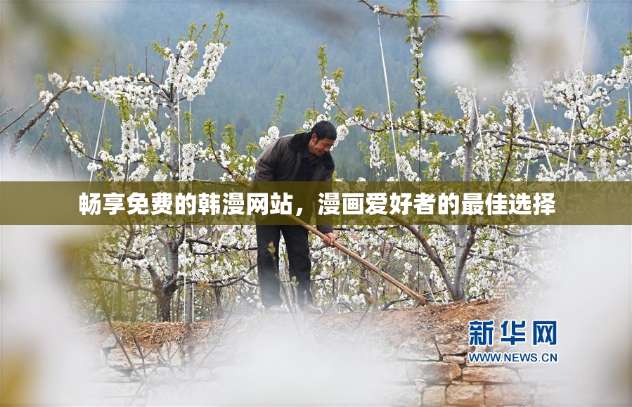 畅享免费的韩漫网站，漫画爱好者的最佳选择