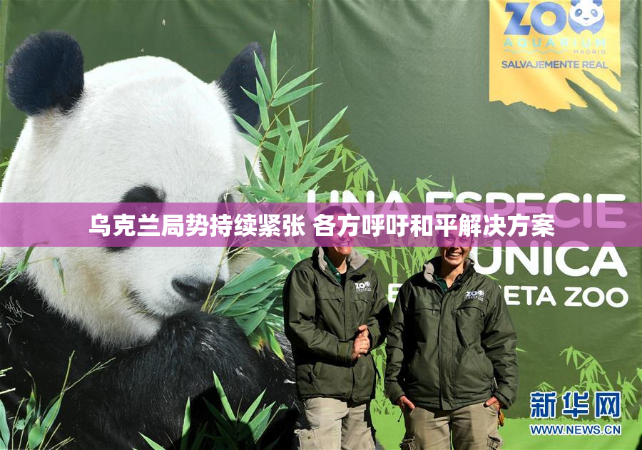乌克兰局势持续紧张 各方呼吁和平解决方案