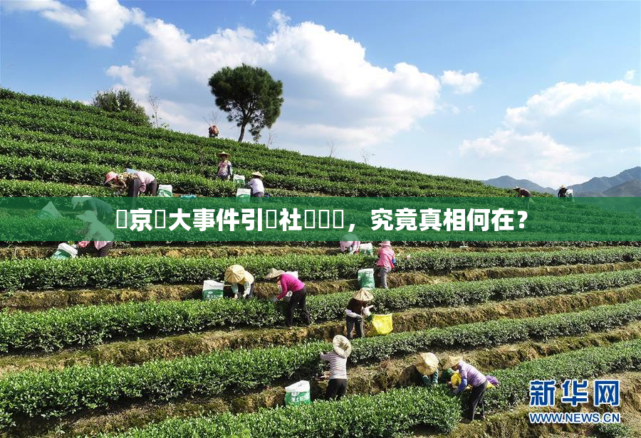 東京熱大事件引發社會熱議，究竟真相何在？