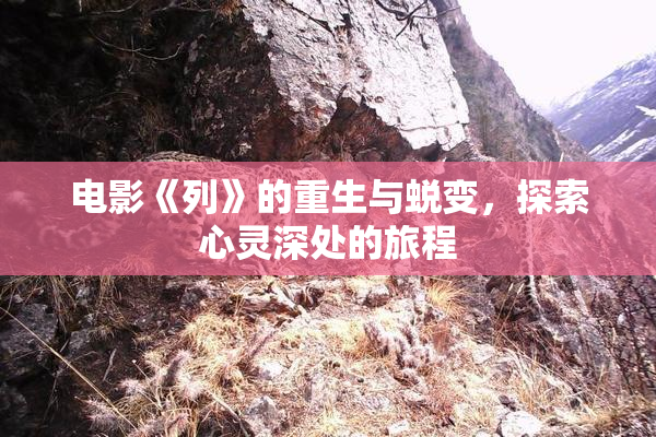 电影《列》的重生与蜕变，探索心灵深处的旅程