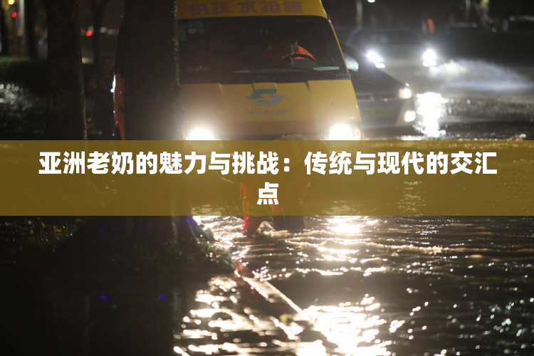 亚洲老奶的魅力与挑战：传统与现代的交汇点
