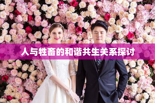 人与牲畜的和谐共生关系探讨
