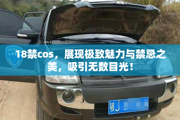 18禁cos，展现极致魅力与禁忌之美，吸引无数目光！