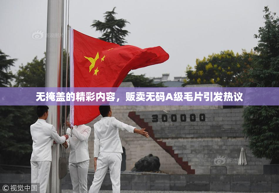 无掩盖的精彩内容，贩卖无码A级毛片引发热议