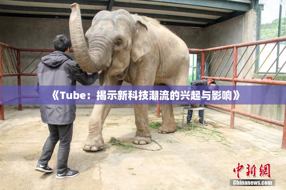 《Tube：揭示新科技潮流的兴起与影响》