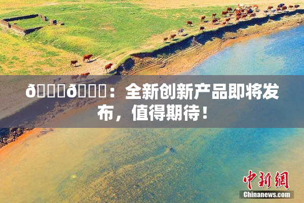 🐔🐔：全新创新产品即将发布，值得期待！