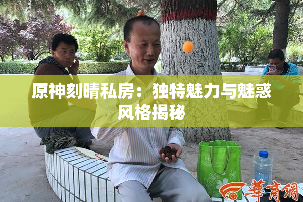 原神刻晴私房：独特魅力与魅惑风格揭秘