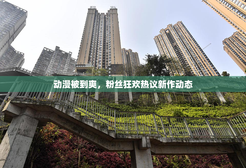 动漫被到爽，粉丝狂欢热议新作动态