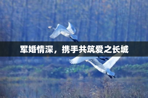 军婚情深，携手共筑爱之长城