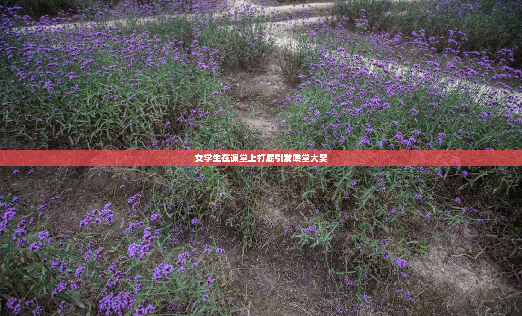 女学生在课堂上打屁引发哄堂大笑