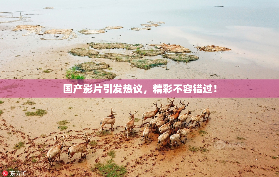 国产影片引发热议，精彩不容错过！