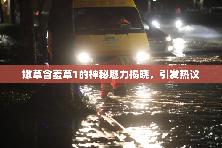 嫩草含羞草1的神秘魅力揭晓，引发热议