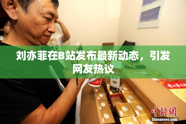 刘亦菲在B站发布最新动态，引发网友热议