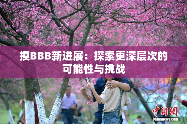 摸BBB新进展：探索更深层次的可能性与挑战