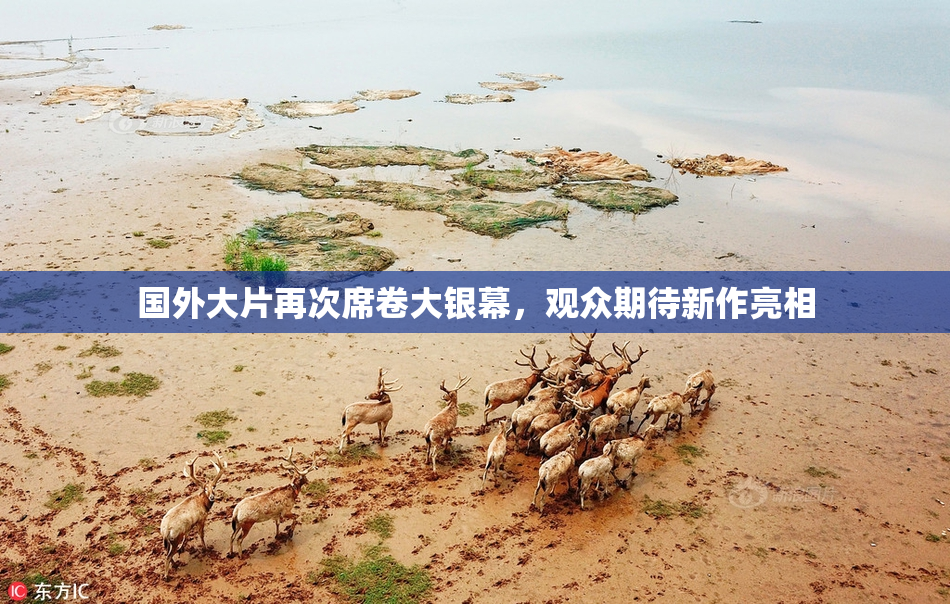 国外大片再次席卷大银幕，观众期待新作亮相