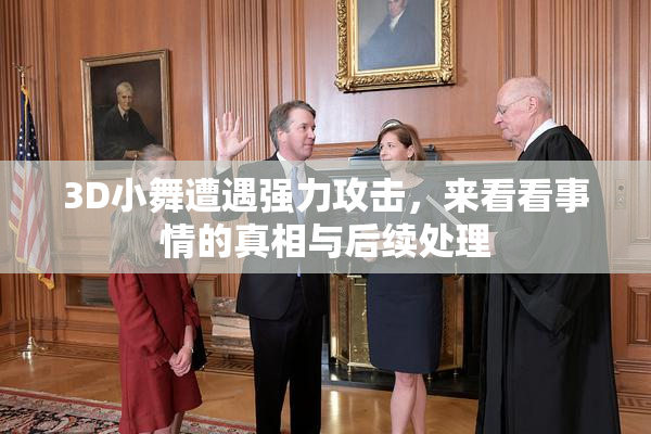 3D小舞遭遇强力攻击，来看看事情的真相与后续处理