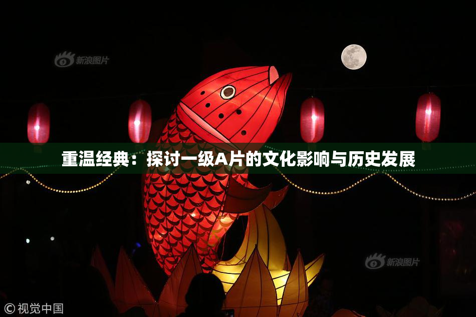 重温经典：探讨一级A片的文化影响与历史发展