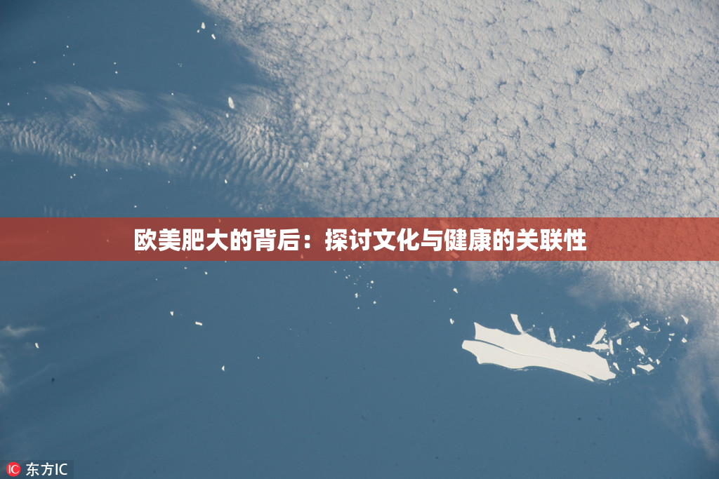 欧美肥大的背后：探讨文化与健康的关联性