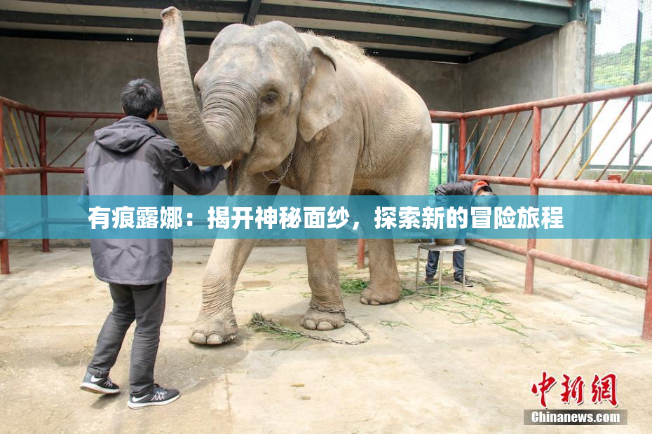 有痕露娜：揭开神秘面纱，探索新的冒险旅程