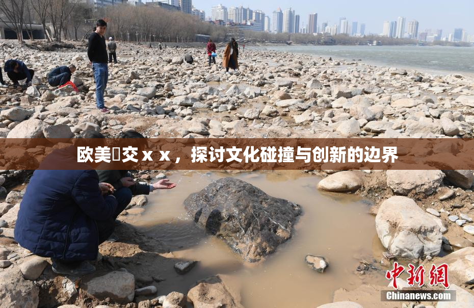 欧美嘼交ⅹⅹ，探讨文化碰撞与创新的边界