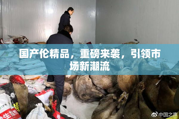 国产伦精品，重磅来袭，引领市场新潮流