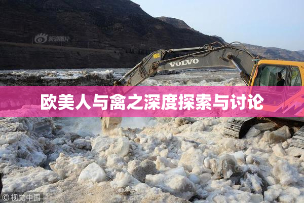 欧美人与禽之深度探索与讨论