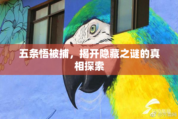 五条悟被捕，揭开隐藏之谜的真相探索