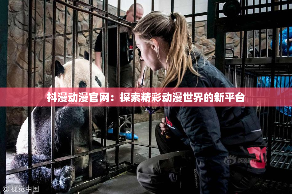 抖漫动漫官网：探索精彩动漫世界的新平台