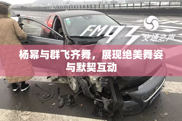 杨幂与群飞齐舞，展现绝美舞姿与默契互动