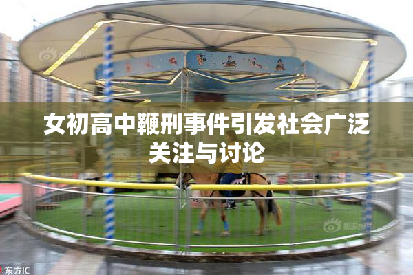 女初高中鞭刑事件引发社会广泛关注与讨论