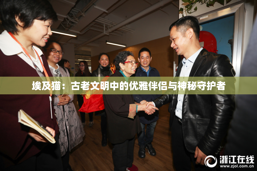 埃及猫：古老文明中的优雅伴侣与神秘守护者