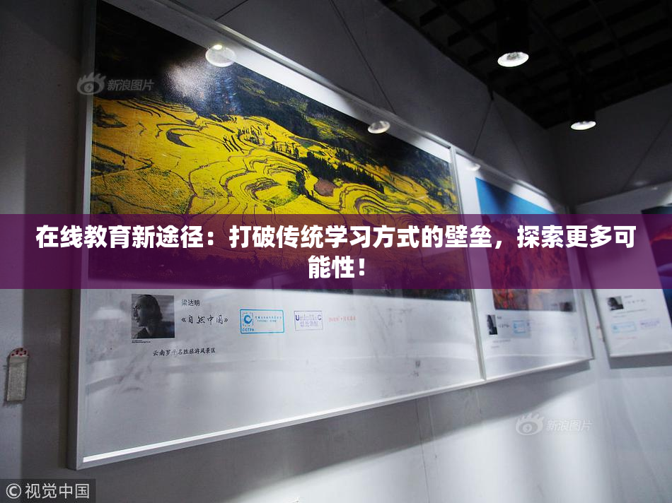 在线教育新途径：打破传统学习方式的壁垒，探索更多可能性！