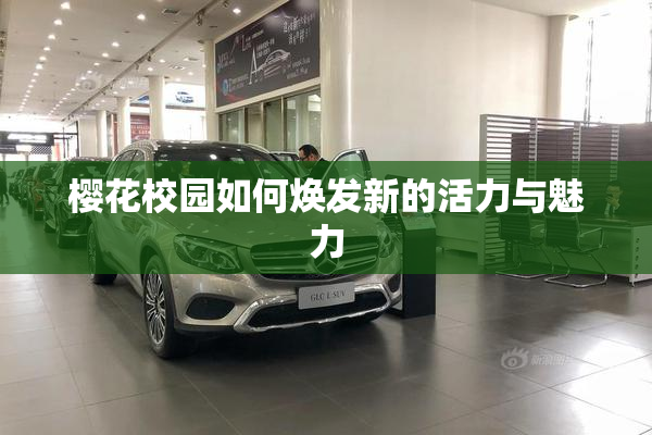 樱花校园如何焕发新的活力与魅力